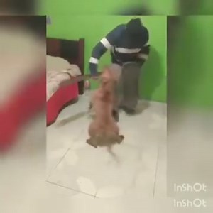 4.5K views · 71 reactions | Mobile legend အကောင့်များအား လူတွေ့ရောင်းဝယ်နိူင်ပါပြီခများ... အိမ်မှာတော့ ဒါမျိုးလေးတွေမွေးထားပါတယ် လုံးဝမ kite တတ်ပါဘူး | MLBB Script files | Facebook