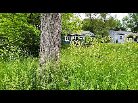 Neighbors were so THANKFUL I cut this INSANE Overgrown YARD for FREE