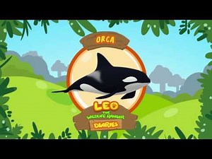 Orca - Leo The Wildlife Ranger Animal Diaries | Learning for Kids | Animals Facts