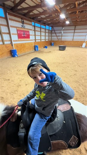 The Terrifying Confidence of Pee Wee the Mini Horse