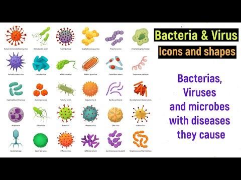 bacteria and viruses - disease causing bacteria, virus and microbes icons and shapes - biology
