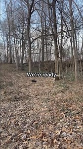 During this live we had an amazing crossover with validating responses at the end! Device being used is GhostTube VOX #fall2024 #spiritguides #spiritcommunication #Wow #crossingover | The Paranormal Couple