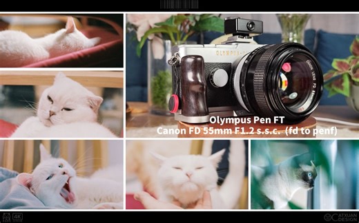 【除了画画啥都会】penFT+fd 55 1.2 ssc 等效为80 f1.8 奥林巴斯半格胶片机的天花板 转接佳能秒变无敌人像头 72张无限量拍猫猫