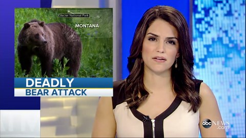 US Forest Service Officer Fatally Attacked by Grizzly Bear in Montana