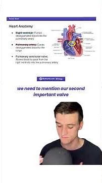 Human Heart 101 #dat #datbootcamp #dentalstudent #dentalschool