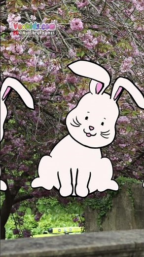 Sleeping Bunnies 🐰 | Little Bunny Hop Hop Hop Song