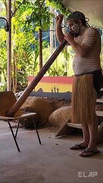 #aboriginalculture #australia #didgeridoo #aboriginalpeople #didgeridoomusic