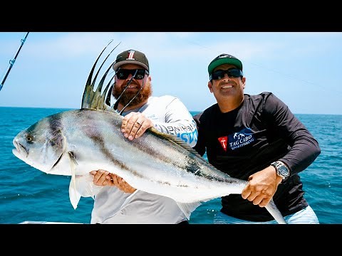Inshore Roosterfish Action: Live Mullet Fishing in Cabo's 30-Foot Depths