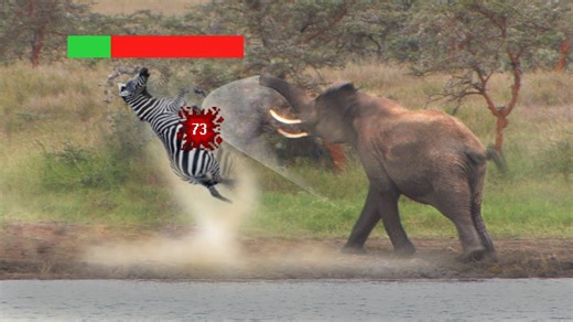 Elephants versus large predators - the mismatch shown on camera