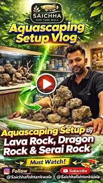 Aquascaping Setup Step by Step | Lava Rock, Dragon Rock & Serai Rock Planted Aquarium Build#short