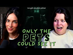 True Ghost Stories | Psychic Pets, Haunted Horses & Near Death Encounters (x332)