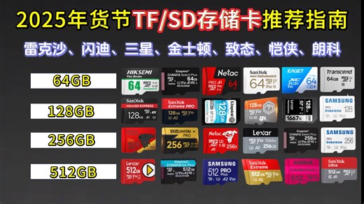【买前必看】2025年1月高性价比TF/SD存储卡推荐！雷克沙、闪迪、三星、金士顿、致态、恺侠、朗科、京造等品牌存储卡选购指南！