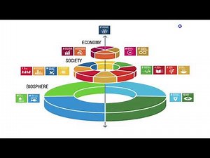A New Take on the Sustainable Development Goals - Johan Rockström