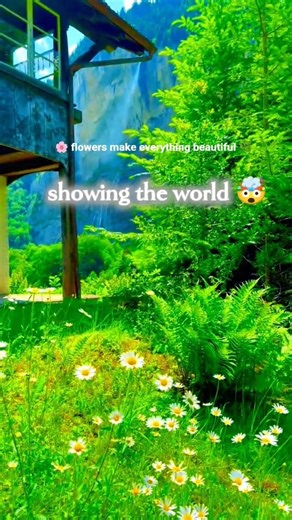🌸 Beautiful Flowers in Nature | Showing The World Amazing Views 🌿 #shorts#nature #beautiful world 🤯