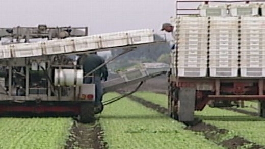 FDA Proposes New Food Safety Rules