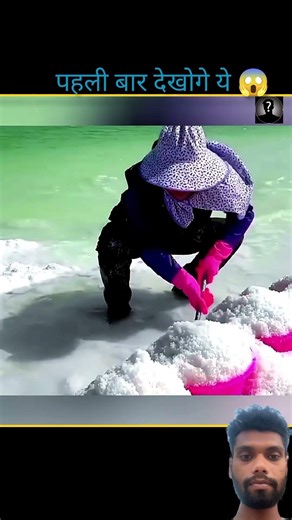 #catun #facts #animation