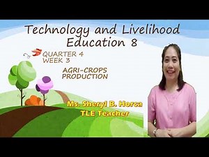 QUARTER 4 WEEK 3 GRADE 8 TLE : AGRI-CROPS PRODUCTION