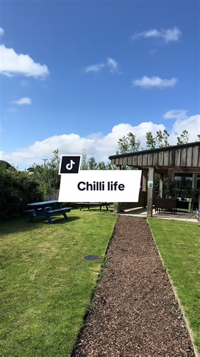 Southdevonchillifarm on TikTok