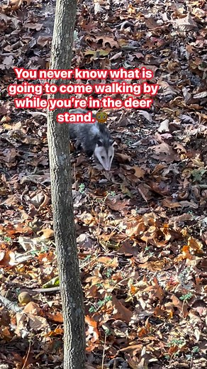 20 reactions | Headed for the road!  | Richard Denning | Facebook