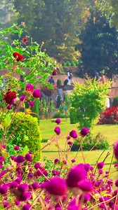 519K views · 40K reactions | Beautiful Flowers  #protection | Nature Beauties | Facebook