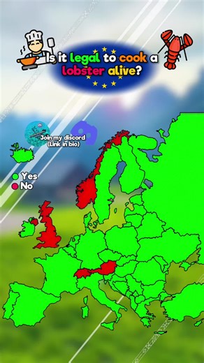 is it legal to cook a lobster whilst its still alive in different European countries? | Join my discord server about mapping and more: https://discord.gg/AC96JVyVpA | #mapper #mapping #country #fyp #geography