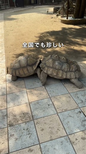 千葉のデートスポット知ってる？