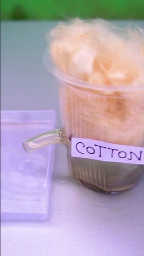 Inspire Award Working Model | Science Exhibition Working Model | Science Project