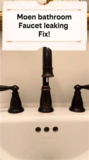Moen bathroom faucet leaking fix.