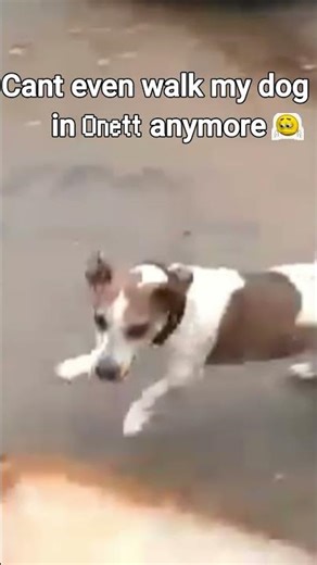 Earthbound Shitpost 2 [The Dog Is Okay] #earthbound