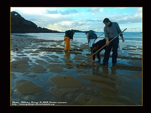 BRETAGNE SORTIES PÊCHE EN MER / GRANDES MAREES - guidepechebretagne.com