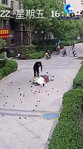 18M views · 1.5M reactions | When a fruit cart fell over, these children made this move... #heartwarming | China Xinhua News | Facebook