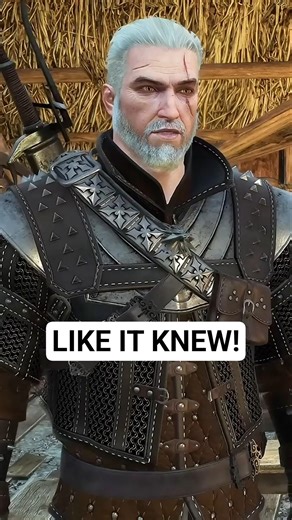 Like It Knew! - The Witcher 3