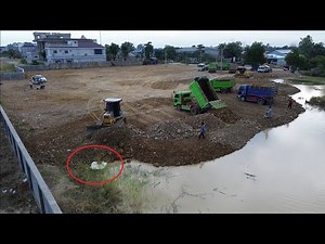 Incredible bulldozer operator filling the swamp with stone and dump trucks unloading dirt