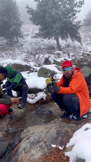 Can people with diabetes eat grapes? Yes — they can, but with smart portion control. Grapes are sweet, nutritious, and full of antioxidants, but they can raise blood sugar if eaten in large amounts. How to enjoy them safely: 🍇 Stick to 10–12 grapes (½ cup) at a time 🍇 Have them with a meal or pair with protein (nuts, paneer, yoghurt) 🍇 Prefer whole grapes — avoid grape juice, which spikes sugar quickly 🍇 If you use a CGM, check how your body responds personally Grapes aren’t off-limits — jus