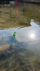 Chinese Ka Kamaal Dekho! ⚡ | PENDO Gallan