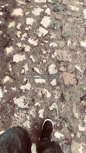 🤝 #18cumayev #fpyyyyyyyyyyyyyyyyyyyyyy #xcyzba #kesfetbeniöneçıkart #tutarmı