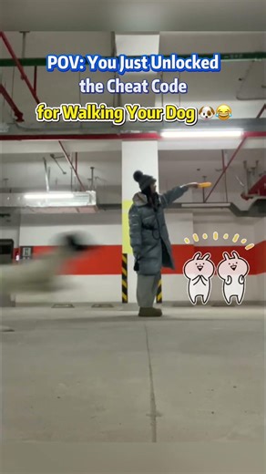 【POV: Your Dog Is on Auto-Run Mode 🐶😂 ✅】