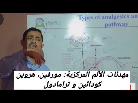 Opioid analgesic (Narcotic Analgesics):Morphine, Heroin, Codeine,Tramadol مسكنات الألم الأفيونية