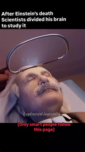 Science | History | Facts on Instagram: "After Albert Einstein died in 1955, his brain was removed for scientific study. 🧠🔬 It was carefully preserved and divided into sections so researchers could examine its structure in detail. For decades, scientists analyzed it to understand whether physical differences could explain extraordinary intelligence. They found that certain regions associated with mathematical reasoning and spatial thinking appeared slightly different from average. However, the
