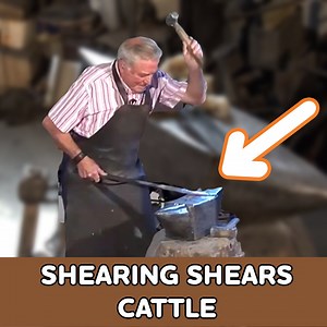 199K views · 1.8K reactions | Handmade scissors ✂ for sheep shearing  | Eugenio Monesma Documentaries | Facebook