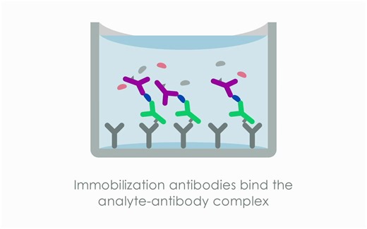 SimpleStep ELISA® 试剂盒