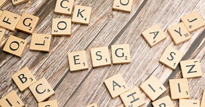 Green economy skills in high demand as SGP 2030 advances