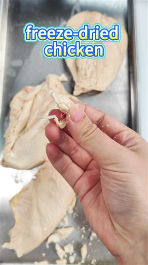 Freeze-Dried Meat: Perfect for Camping and Pets