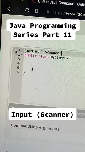 Java Programming Tips: Using Input (Scanner)