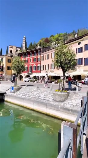 Videos de cascabel2 (@cascabel2093) con “sonido original - bethliza19”