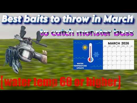 Top baits that you need to be throwing in March!