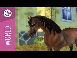 Star Stable World - American Quarter Horse