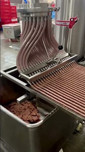 Industrial forming & drying systems for meat snacks, pet treats & jerky