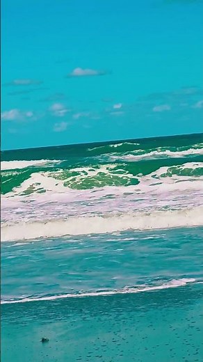 Florida Beach Waves 🌴 | Relaxing Ocean Sounds for Peace, Comfort & Calm | ASMR Sea Ambience
