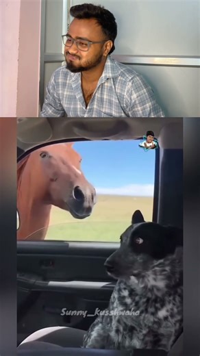 Abhi challan hoga🤣#funnytimes #cutepuppy #funnyvids #funnybaby #shortsfeed #viral #foryou